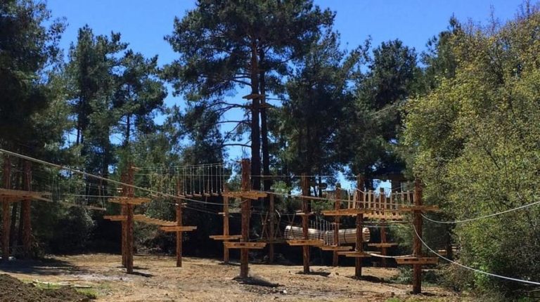 Как купить и продать бизнес на Кипре – процедура, риски, независимый аудит